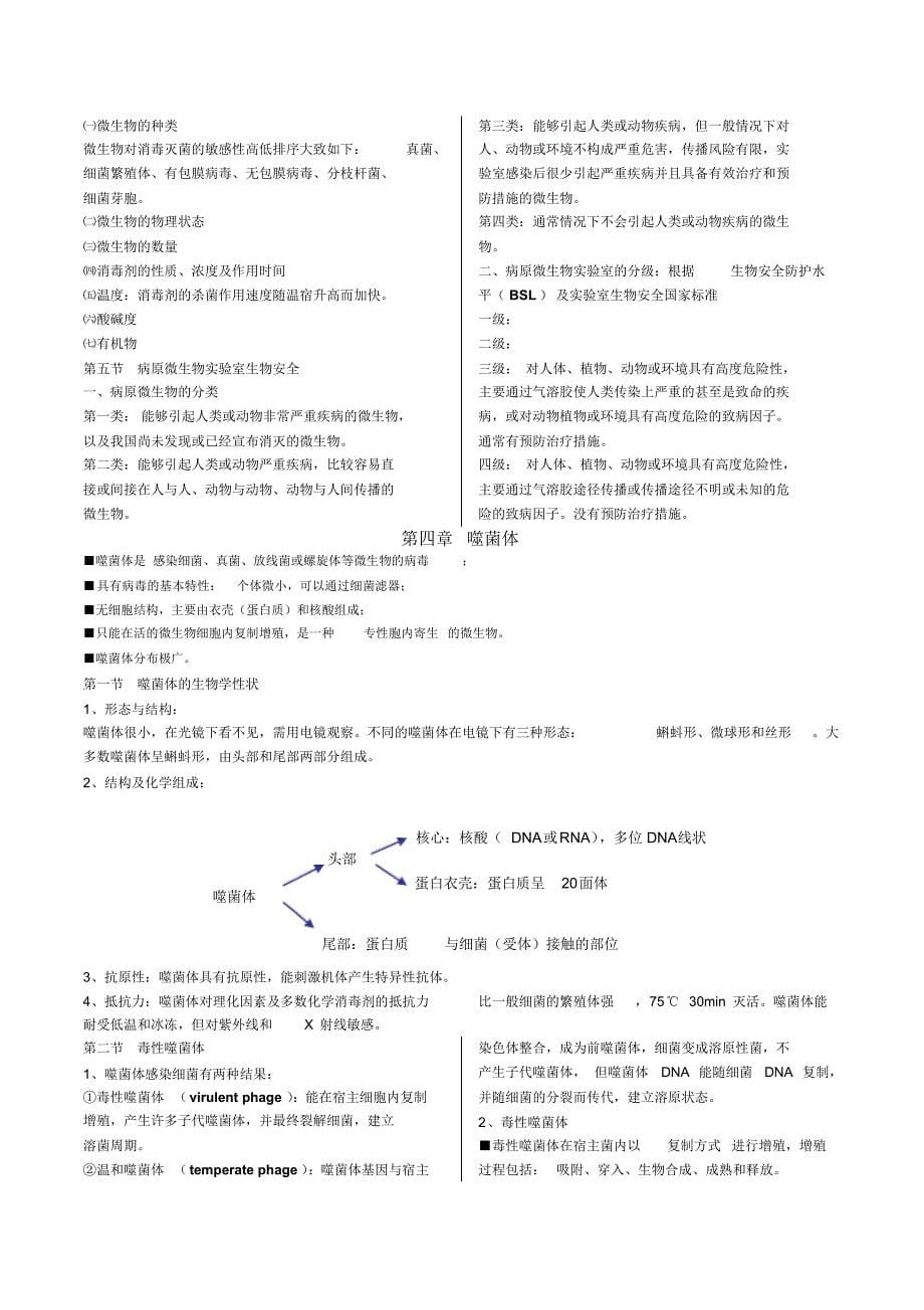 医学微生物学笔记_第5页