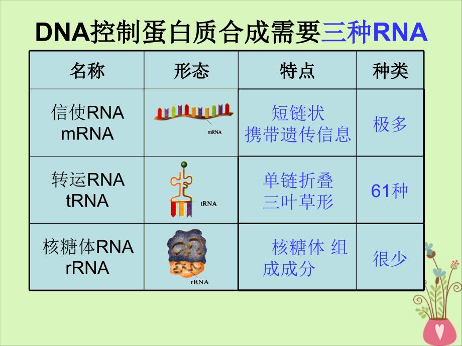 江西省南昌市高中生物 第四章 基因的表达 4.1 基因指导蛋白质的合成课件 新人教版必修2_第4页