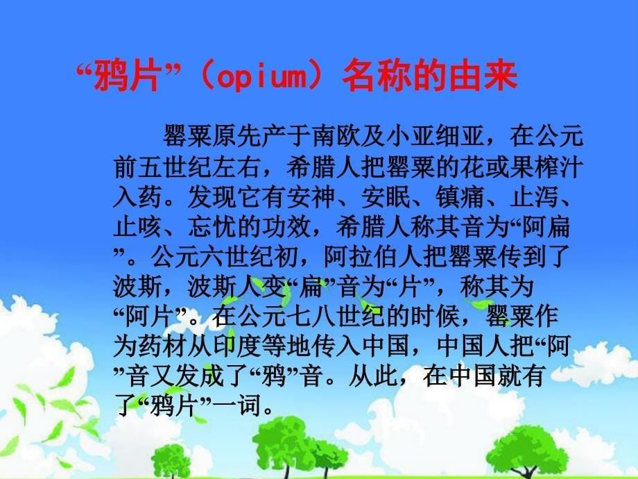 重点中学高中一年级历史公开课优质课件精选------《鸦片战争》_第5页