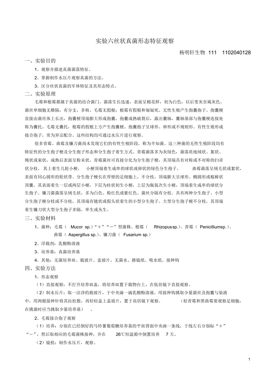 实验六丝状真菌形态特征观察_第1页