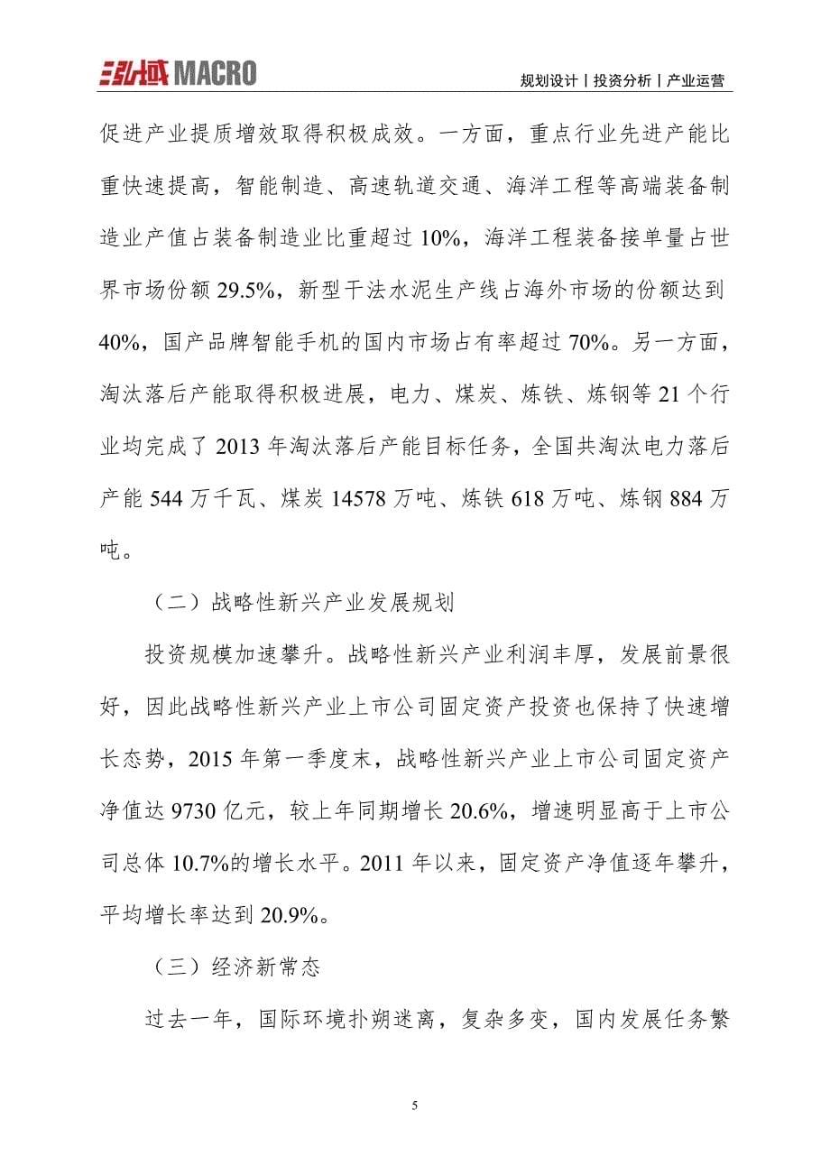 汽油清洗机项目投资计划报告_第5页