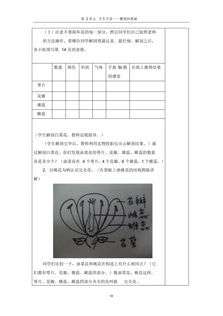 四年级科学下册教案,(第二单元)_第3页