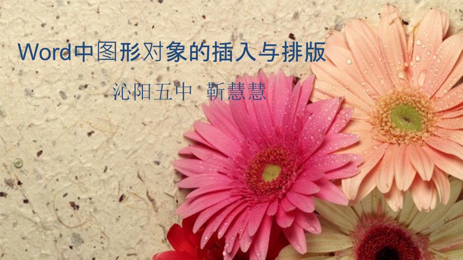 《一图片的插入和排版课件》初中信息技术豫大版《信息技术》七年级下册_4_第1页