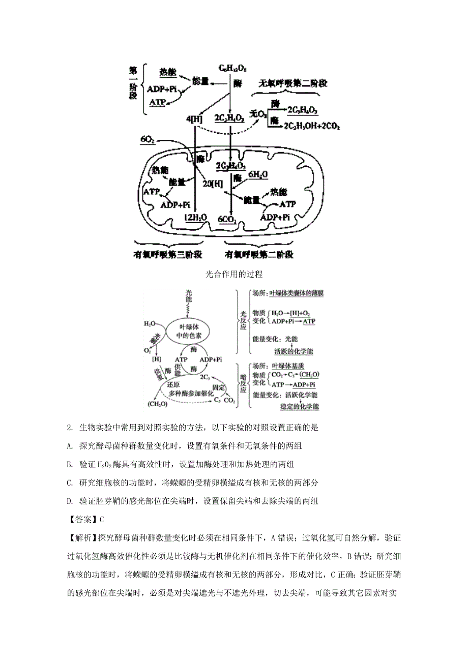 湖北省武汉市2018届高三毕业班五月训练题理科综合生物试题 word版含解析_第2页