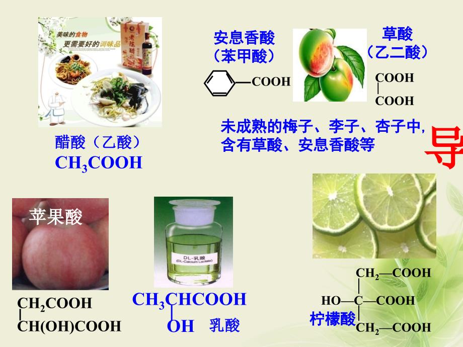 江西省吉安县高中化学 第三章 烃的含氧衍生物 3.3.1 羧酸（一）课件 新人教版选修5_第2页