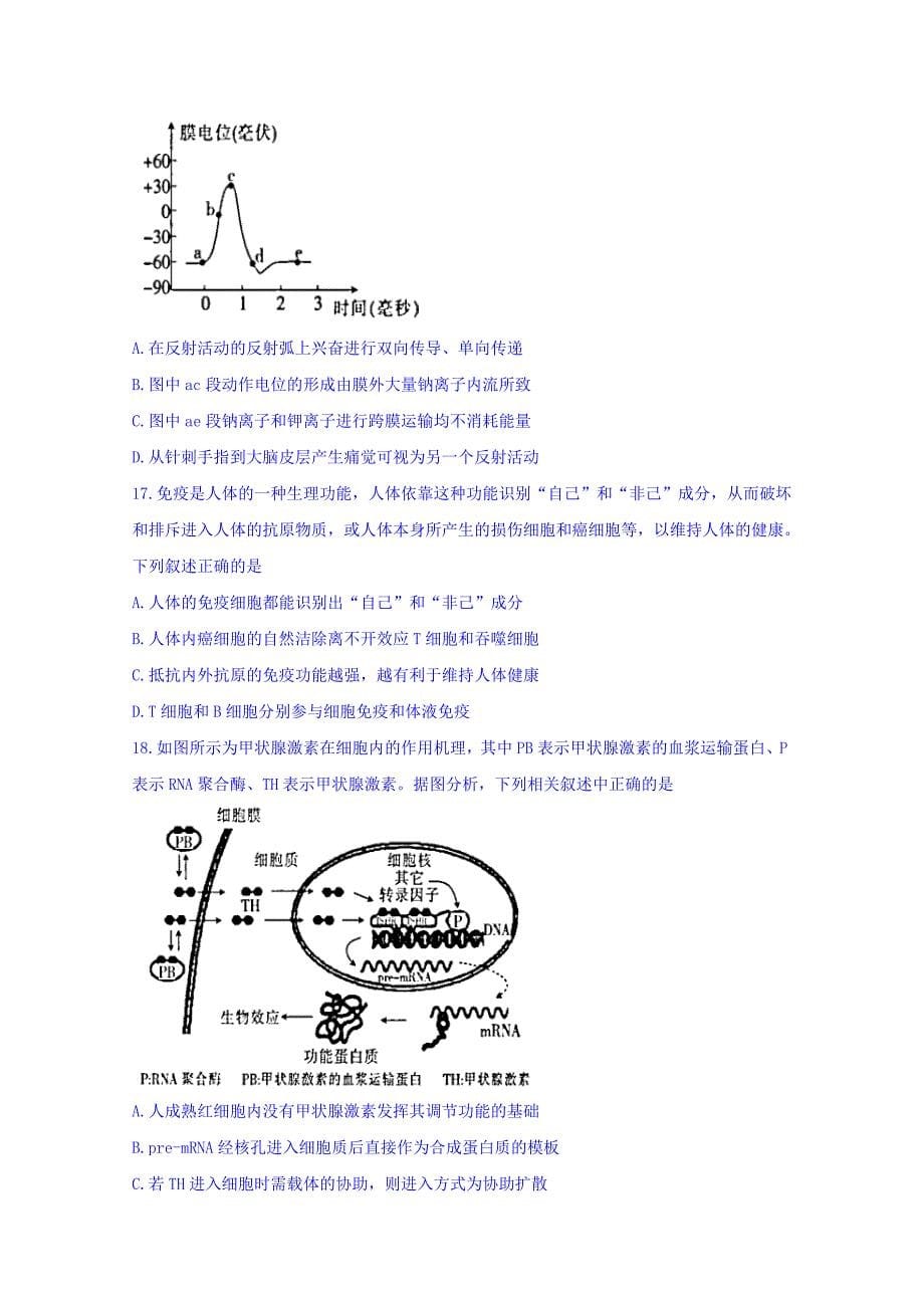 河南省七校2017-2018学年高二下学期升级摸底考试生物试题 word版含答案_第5页