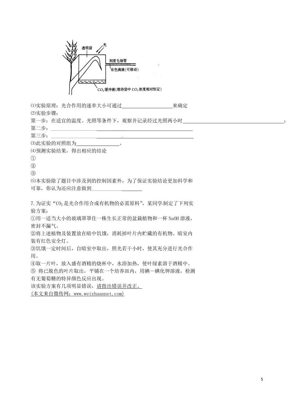 北京市高考生物一轮复习 例题讲解 专题 与光合作用有关的实验分析与设计学案（无答案）_第5页