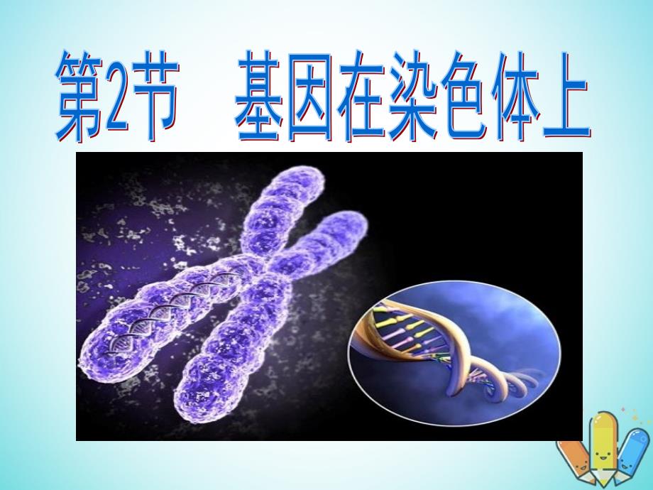 云南省峨山彝族自治县高中生物 第二章 基因和染色体的关系 2.2《基因在染色体上》课件 新人教版必修2_第1页