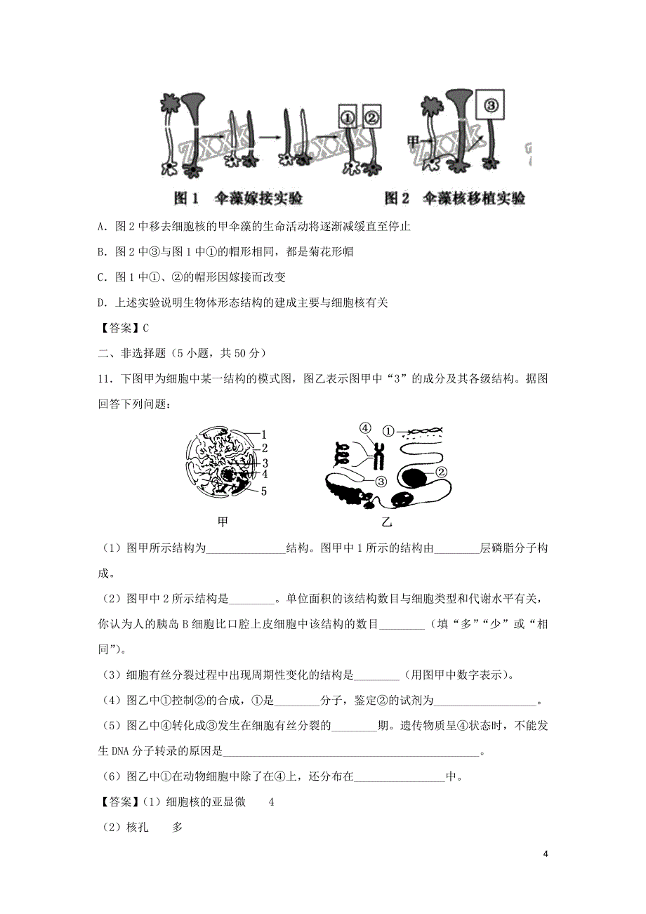 2019年高考生物一轮复习 知识点同步练习卷 细胞核与细胞学说 新人教版_第4页