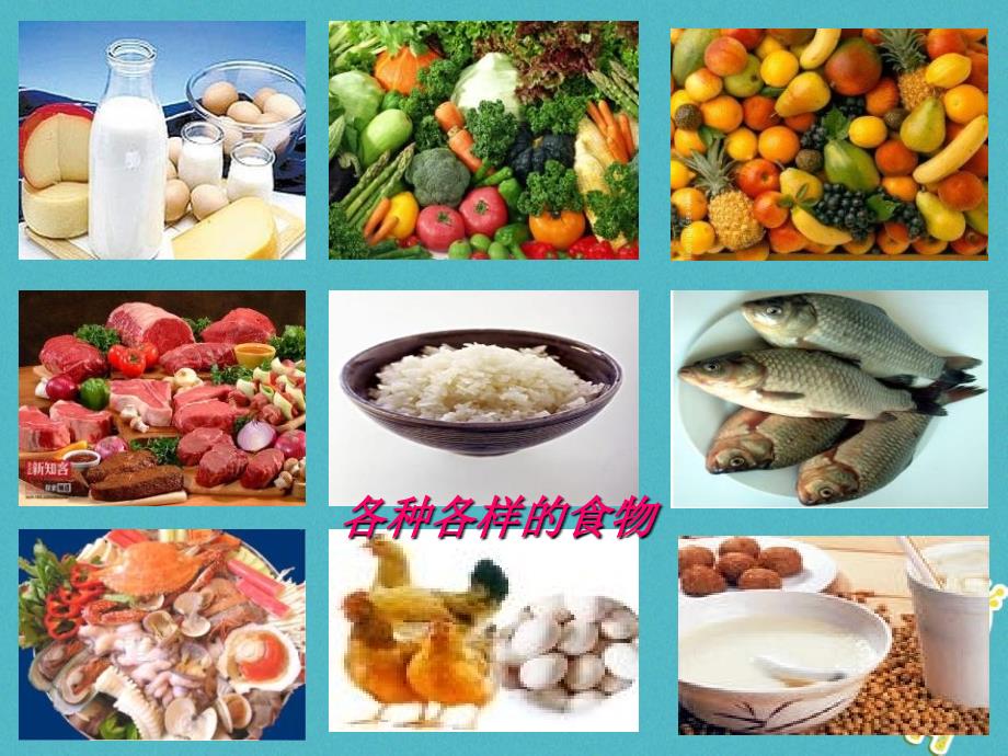 内蒙古鄂尔多斯市达拉特旗七年级生物下册 4.2.1食物中的营养物质课件 （新版）新人教版_第3页
