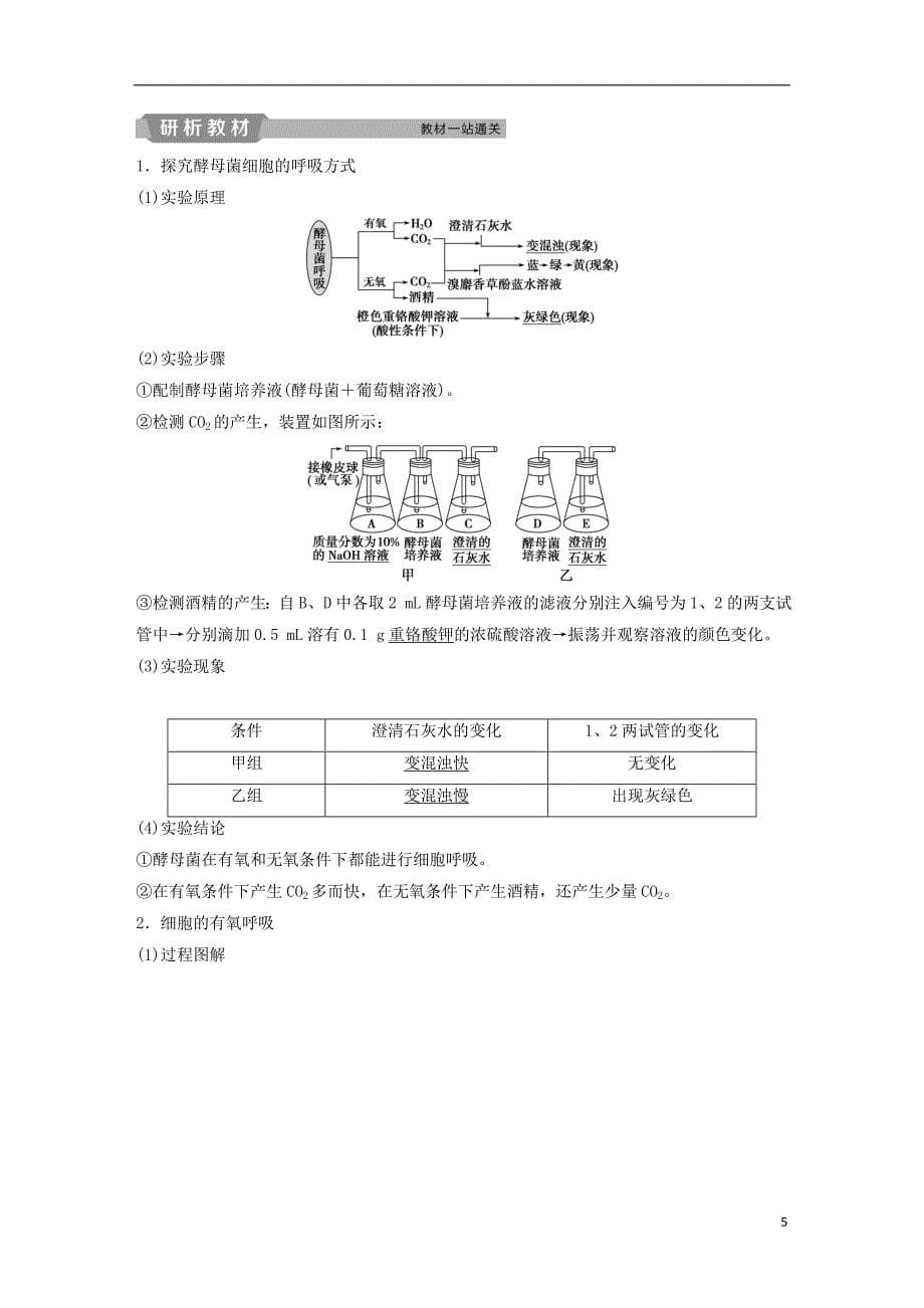 2019届高考生物一轮复习第三单元细胞的能量供应和利用第9讲atp及其主要来源__细胞呼吸学案_第5页