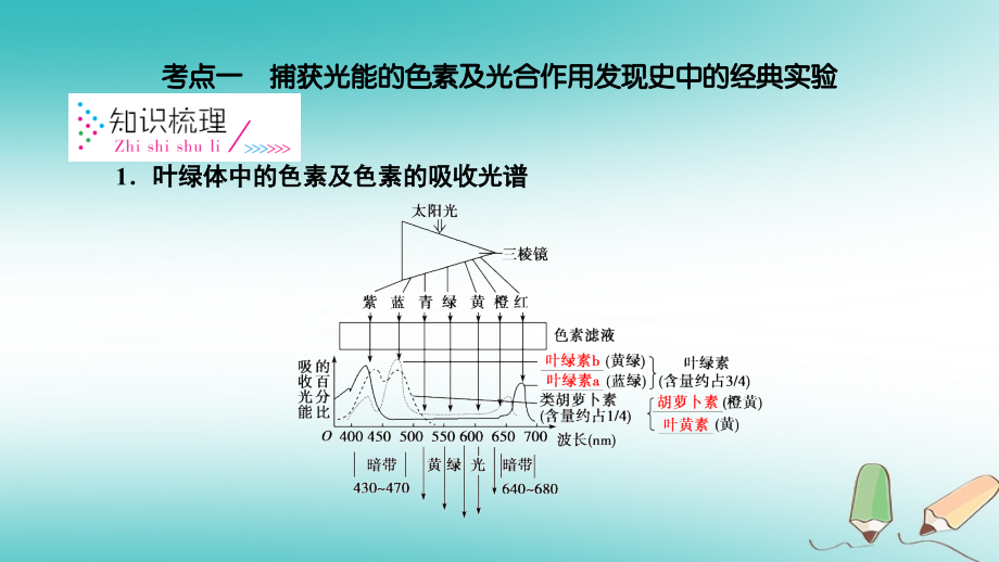 2019高考生物一轮总复习 第三单元 细胞的能量供应和利用 第3讲 光合作用课件 新人教版必修1_第4页