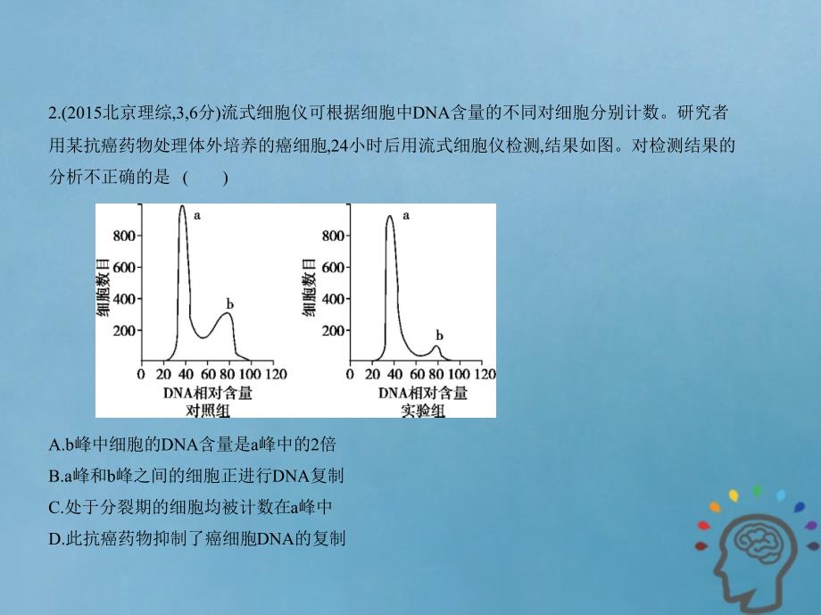 北京专版2019版高考生物一轮复习专题7细胞的增殖课件_第3页