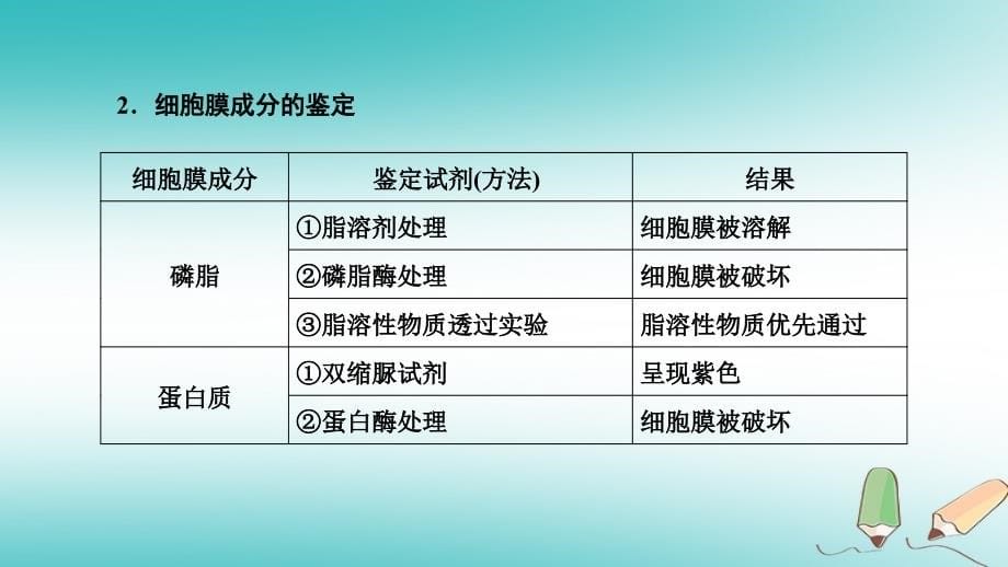 2019高考生物一轮总复习 第二单元 细胞的基本结构与物质输入和输出 第1讲 细胞膜与细胞核(含生物膜的流动镶嵌模型)课件 新人教版必修1_第5页