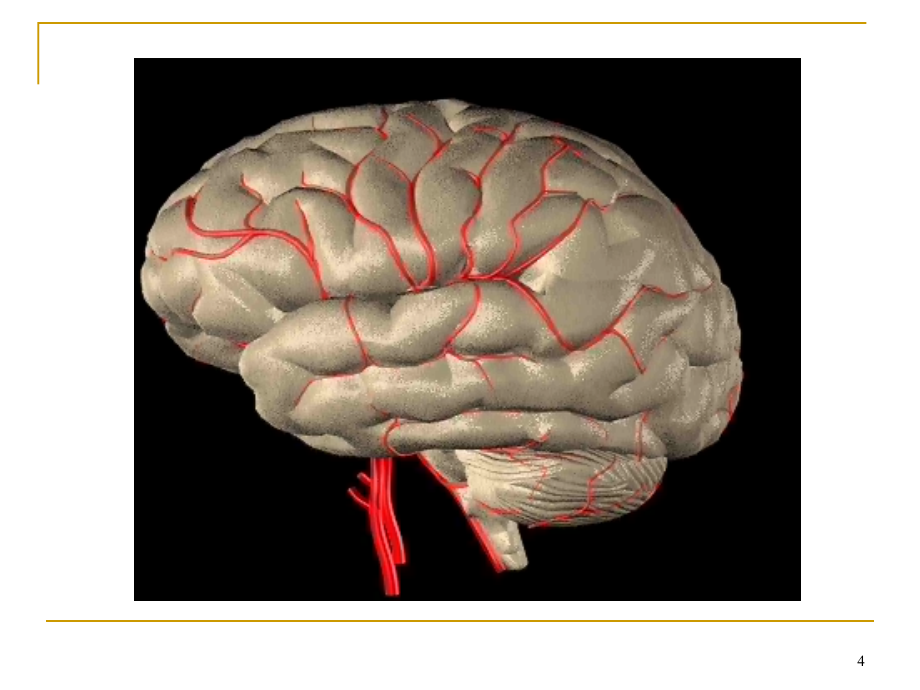 脑血管病的诊断 ppt课件_第4页