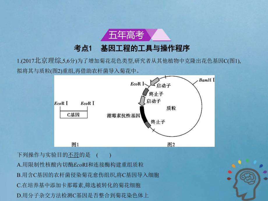 2019版高考生物一轮复习 专题26 基因工程课件_第2页