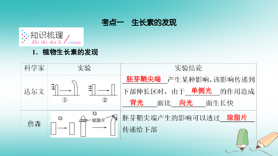 2019高考生物一轮总复习 第一单元 生命活动的调节与免疫 第5讲 植物的激素调节课件 新人教版必修3_第4页