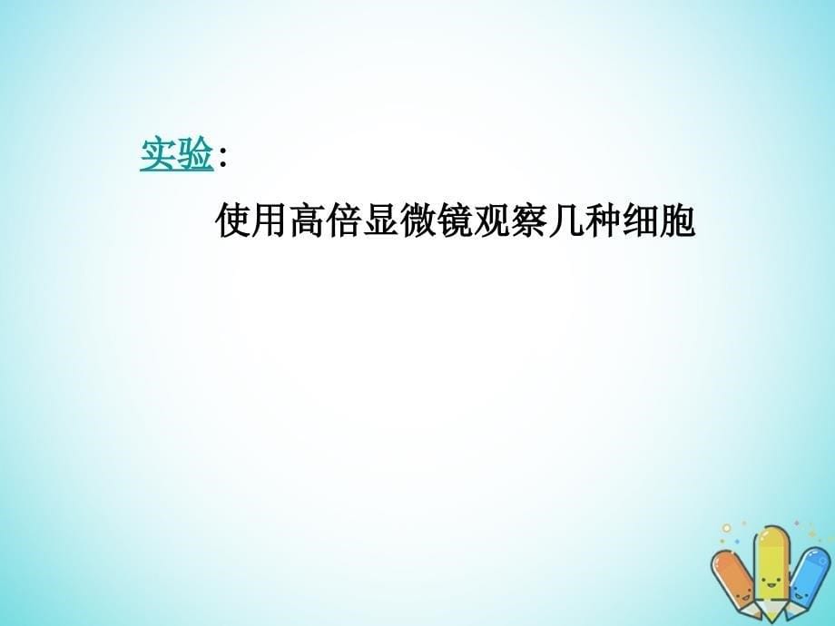 云南省峨山彝族自治县高中生物 第一章 走近细胞 1.2 细胞的多样性和统一性课件1 新人教版必修1_第5页