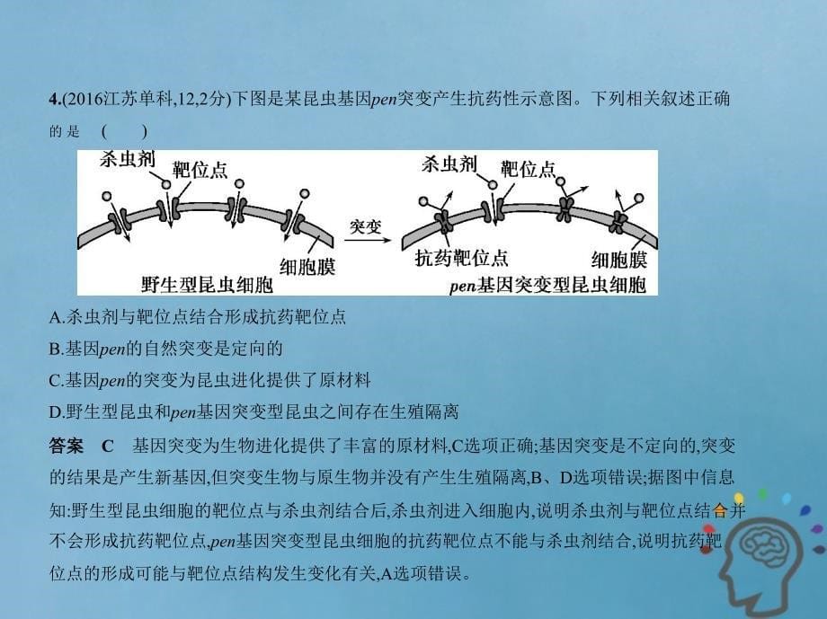 北京专版2019版高考生物一轮复习专题15生物进化课件_第5页