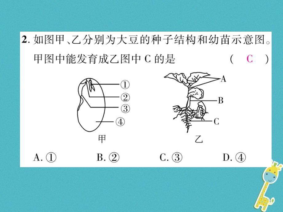 2018年七年级生物上册 第3单元 第1-2章整理与复习习题课件 （新版）新人教版_第4页