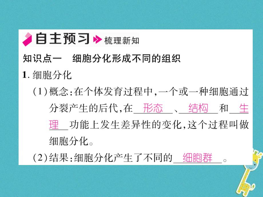 2018年七年级生物上册 2.2.2 动物体的结构层次习题课件 （新版）新人教版_第2页