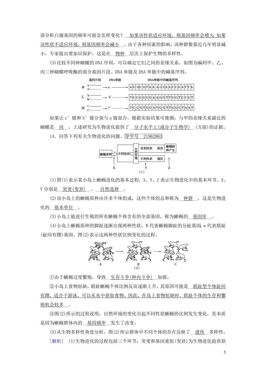 2019高考生物一轮总复习 第三单元 生物的变异、育种和进化 练案24 现代生物进化理论 新人教版必修2_第5页