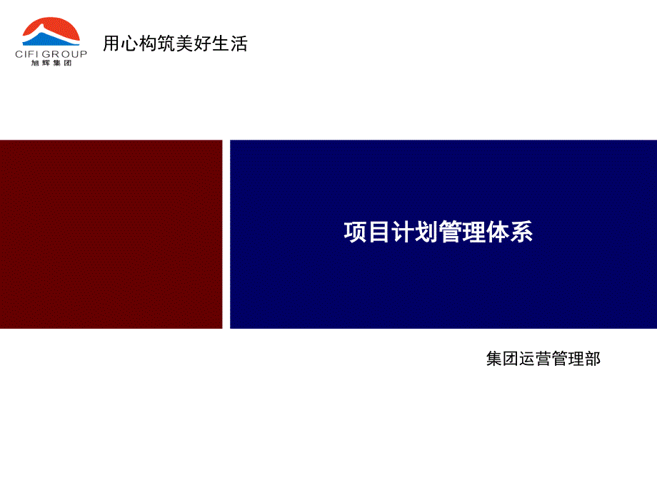 项目计划管理体系_第1页