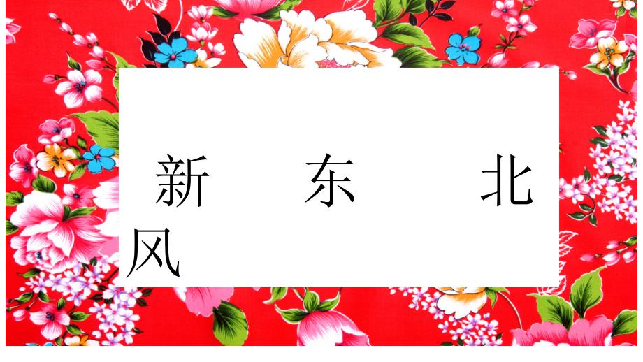 《（演唱）新东北风》课件小学音乐湘文艺版五年级上册（2014年7月第1版）_第4页