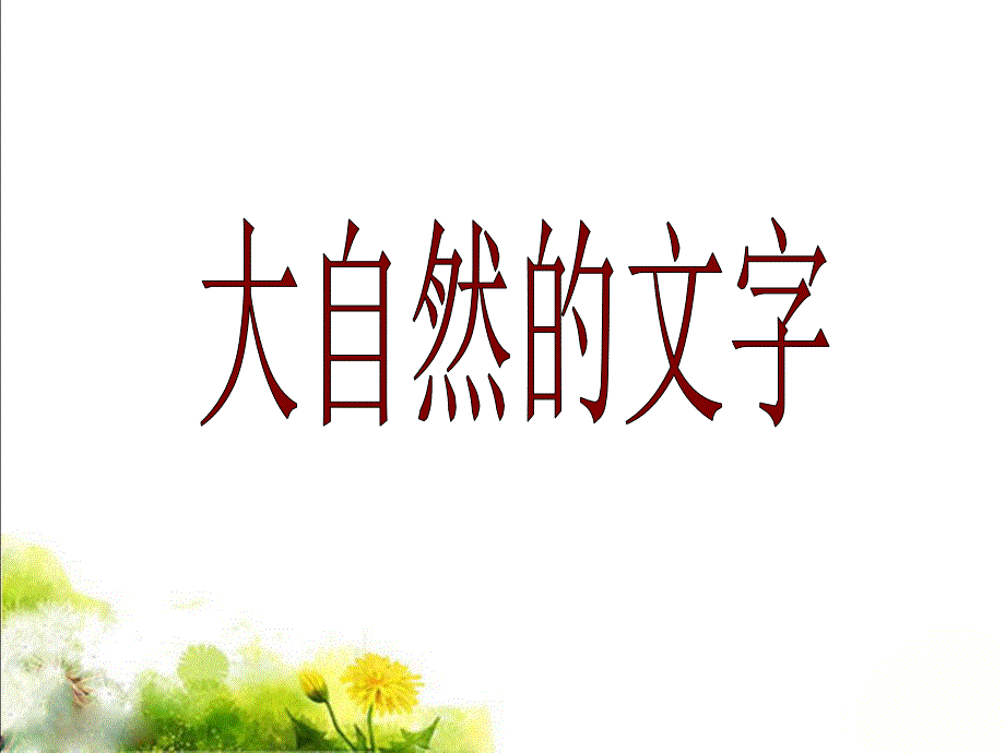 《课文24_大自然的文字课件》小学语文苏教版六年级上册_第1页