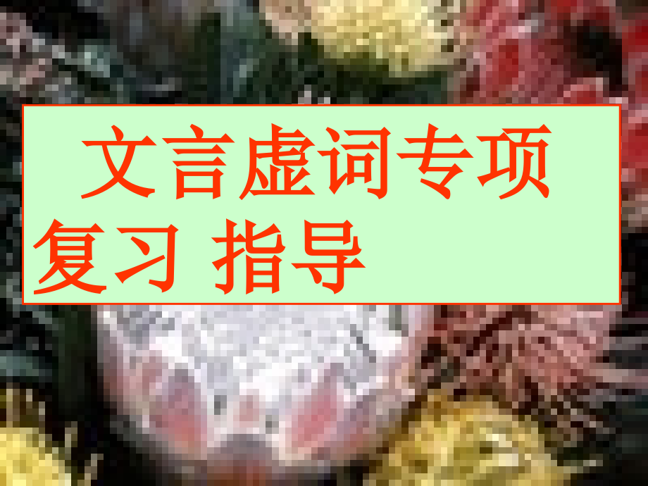 2009年高考语文文言虚词专项复习指导课件_第1页