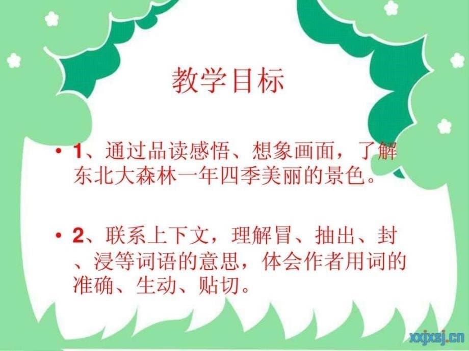 东北大森林课件（公开课）_第5页