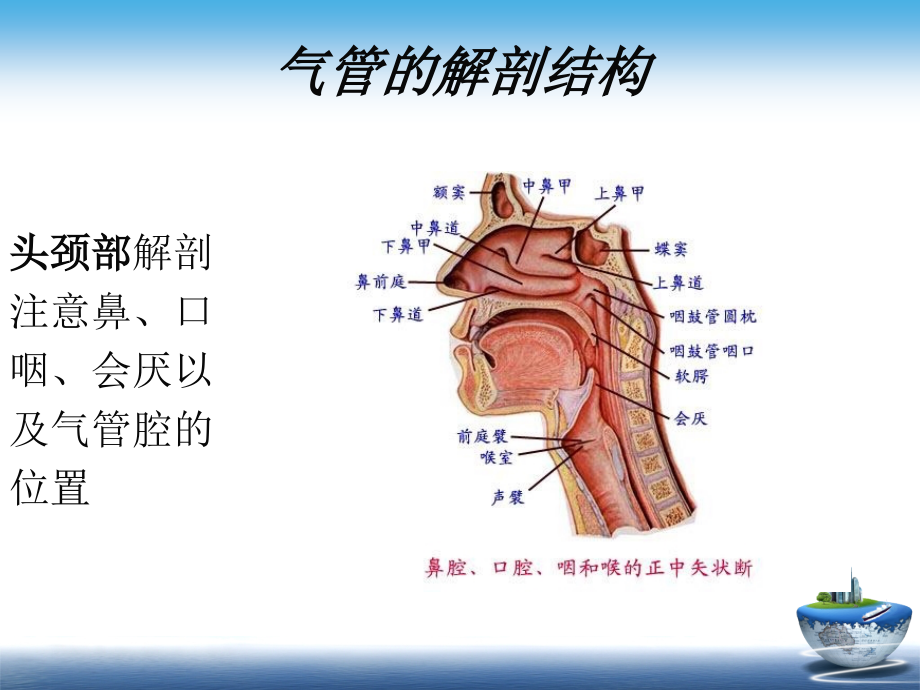 g气管内插管_第3页