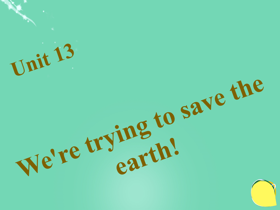 四清导航（西南专版）九年级英语全册_unit_13 were trying to save the earth习题课件 （新版）人教新目标版_第1页