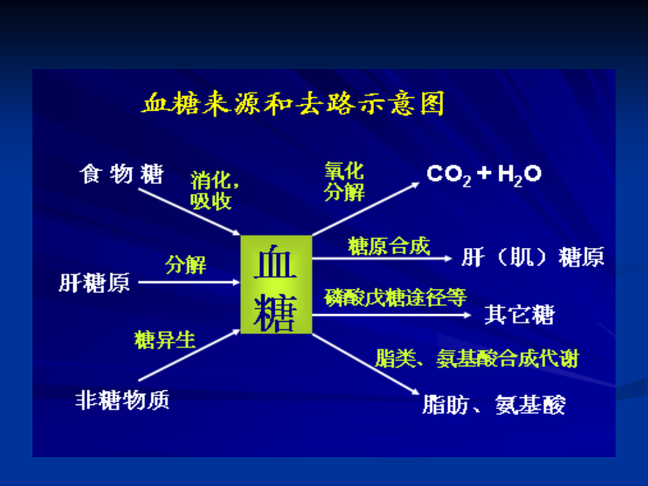 ppt课件-糖尿病饮食与营养.ppt_第4页