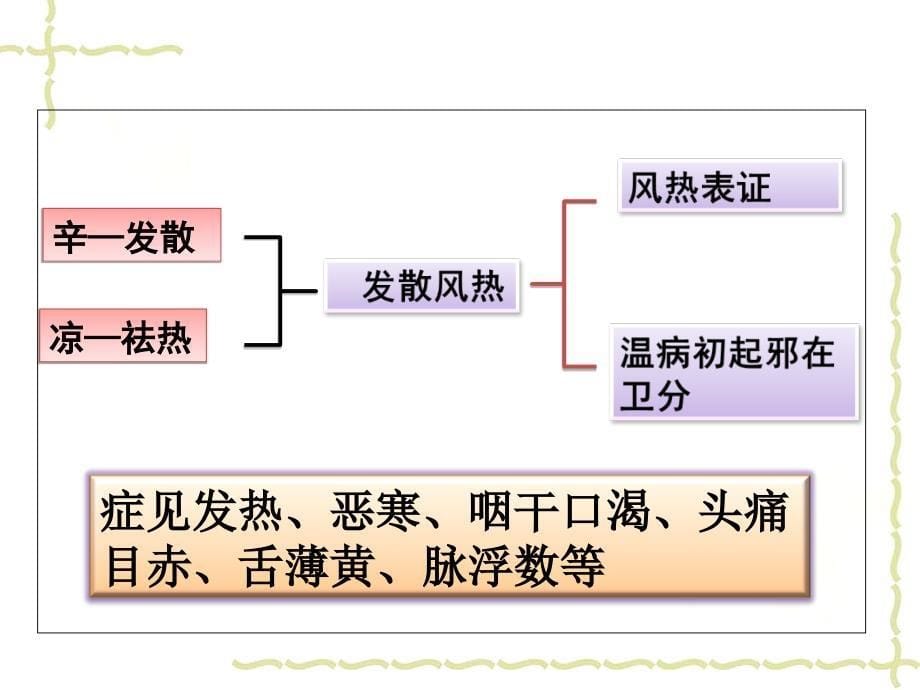 s发散风热药_第5页