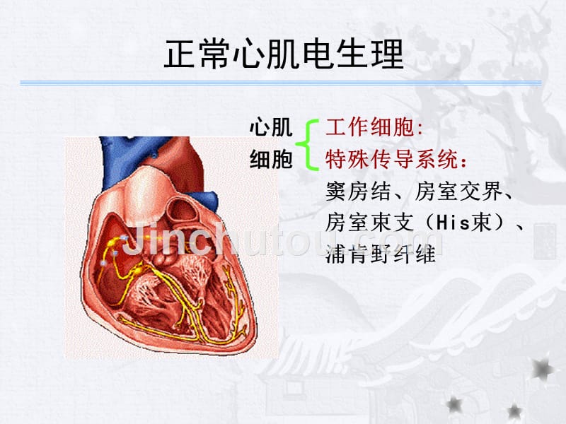 [临床医学]心律失常基础_第3页