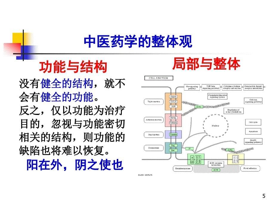 (ppt)-中医药多种机制治疗心律失常的应用基础研究_第5页