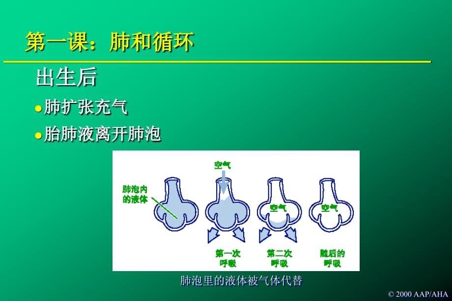 m新生儿窒息复苏_第5页