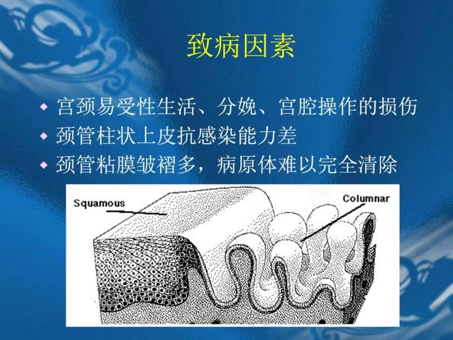 -宫颈炎症-ppt课件_1892243860[宝典]_第4页