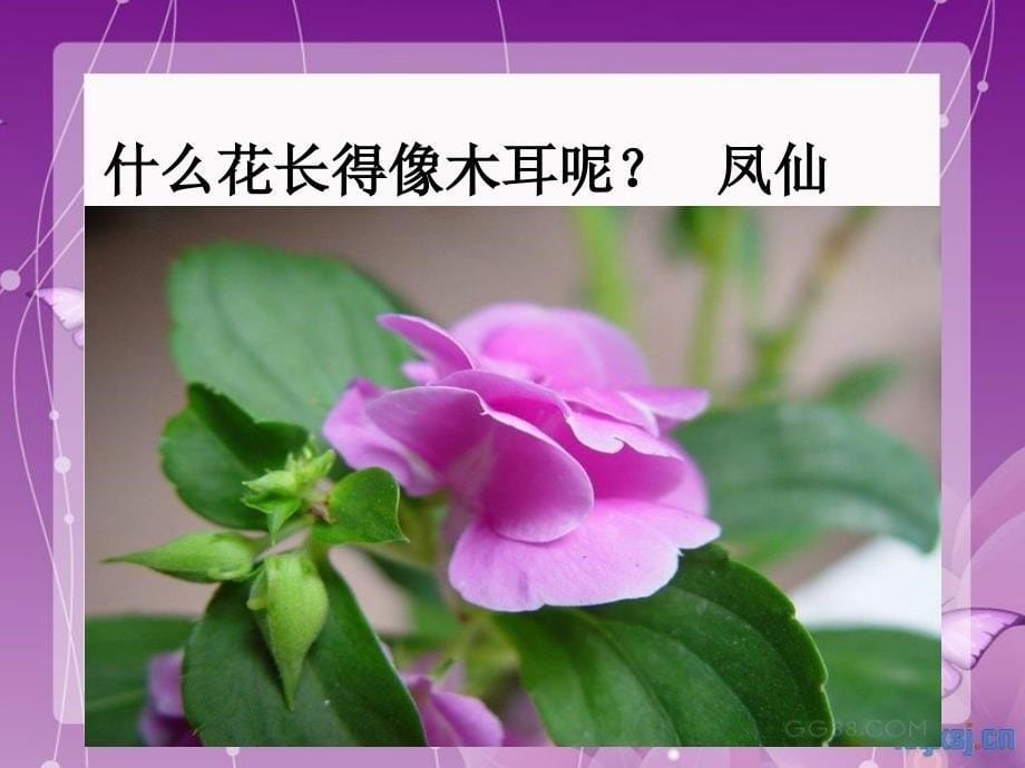 苏教版音乐三年级下册《对鲜花》ppt课件之二最新_第5页