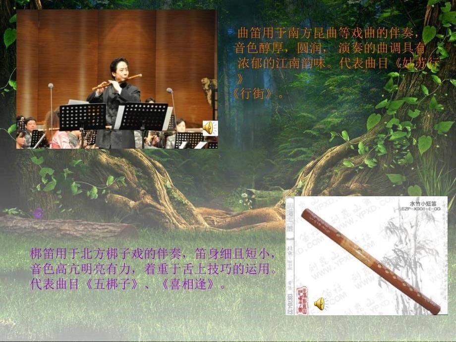 小学音乐苏少版《五年级下册听美丽的喀纳斯湖森林狂想曲》ppt课件（1）_第5页