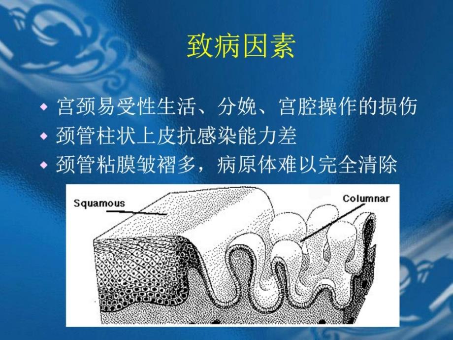 [宝典]-宫颈炎症-ppt课件_图文_第4页