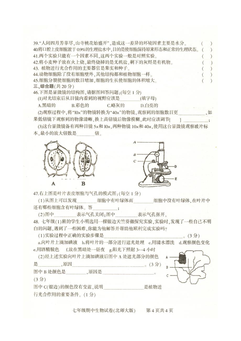 实验中学七年级生物试卷与答案.doc_第4页