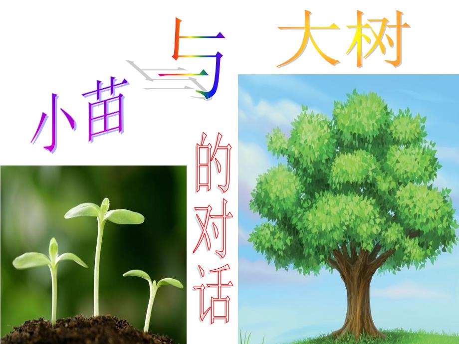 人教版五年级上册《小苗与大树的对话》ppt课件图文_第1页