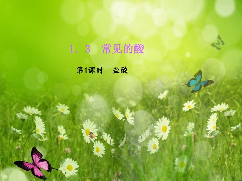 四清导航九年级科学上册_131_盐酸习题课件 （新版）浙教版_第1页