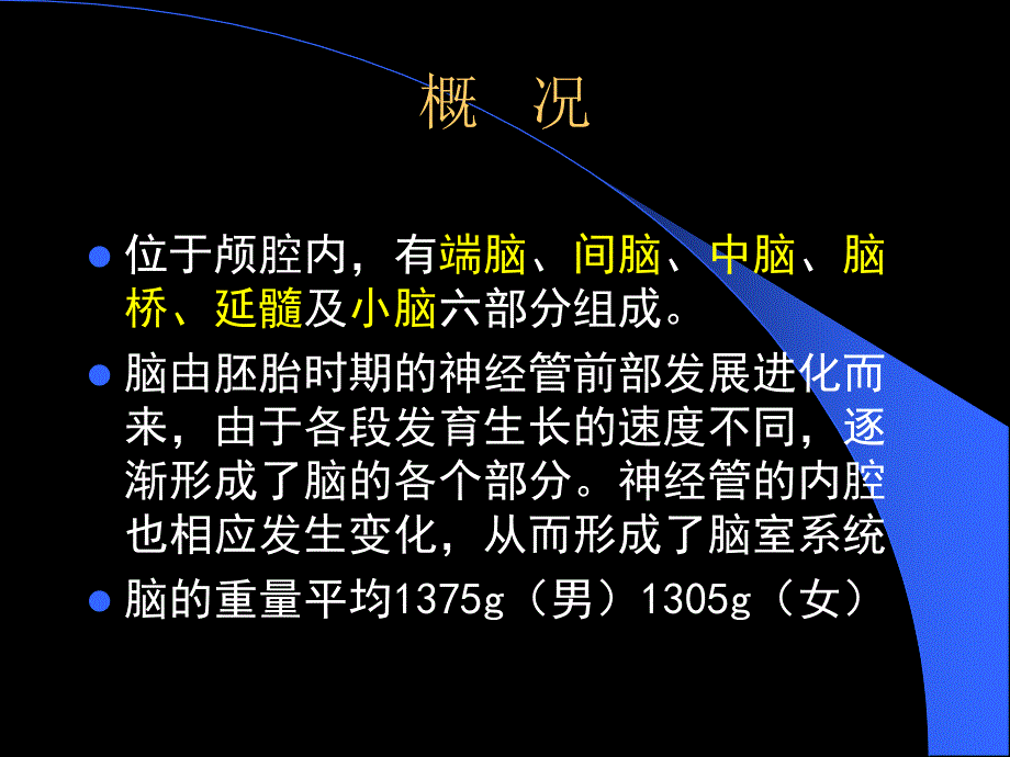 小脑大脑（上课版）ppt课件_第2页