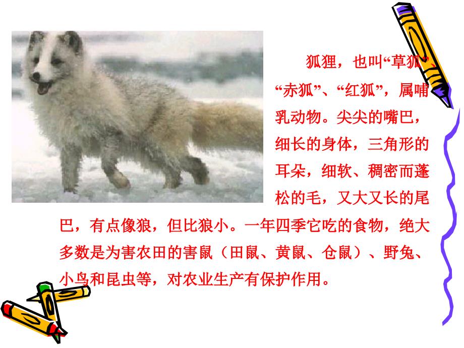 狐狸和乌鸦苏教版二年级语文上册_1_第2页