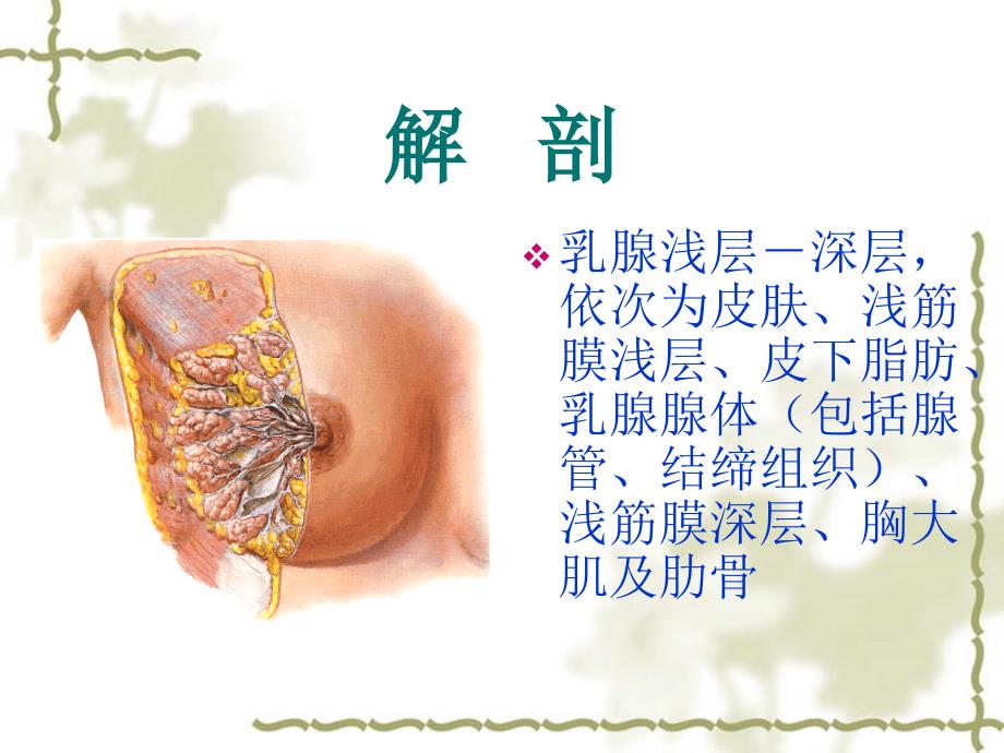 (影像医学课件）乳腺示教_第2页