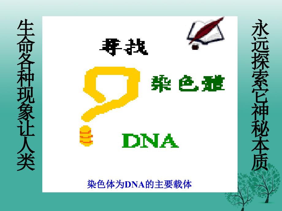 八年级生物下册_第七单元_第二节 基因在亲子间的传递课件3 （新版）新人教版_第4页