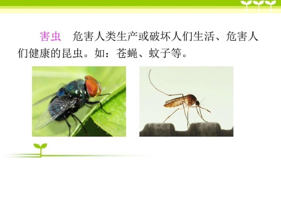 部编版一年级语文下册识字5_动物儿歌课件图文_第4页